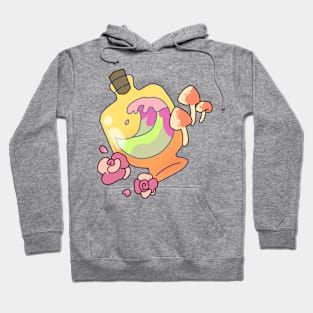 Multicolored Wave: Box with Mushroom Companion Hoodie